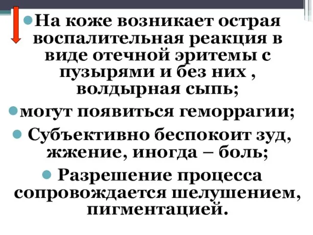 На коже возникает острая воспалительная реакция в виде отечной эритемы с