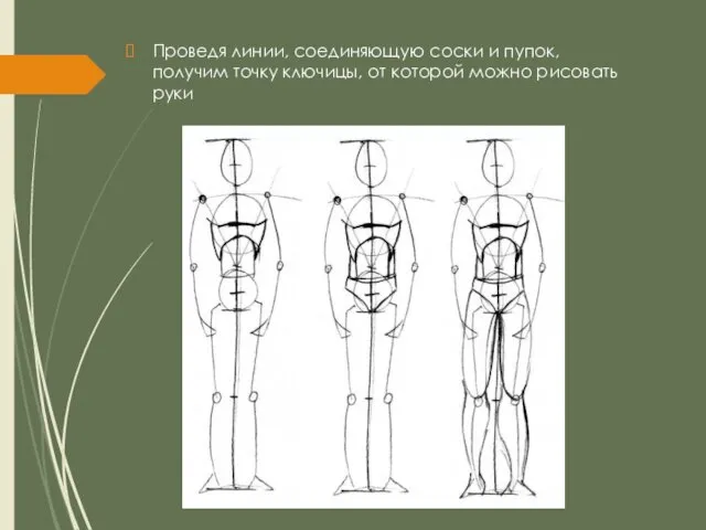 Проведя линии, соединяющую соски и пупок, получим точку ключицы, от которой можно рисовать руки