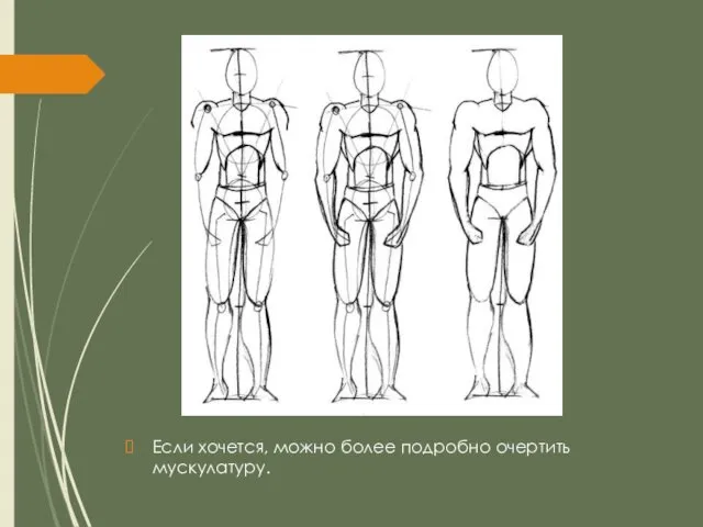 Если хочется, можно более подробно очертить мускулатуру.
