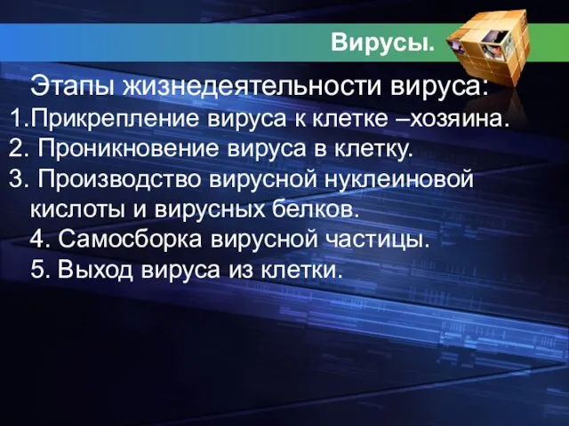 Вирусы. Этапы жизнедеятельности вируса: Прикрепление вируса к клетке –хозяина. Проникновение вируса