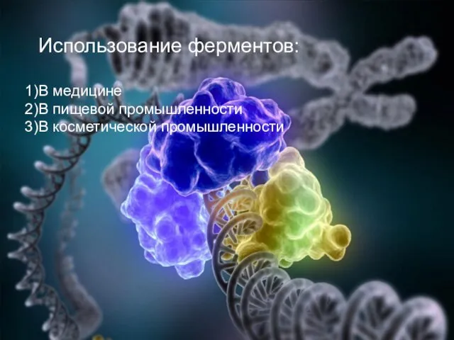 Использование ферментов: В медицине В пищевой промышленности В косметической промышленности