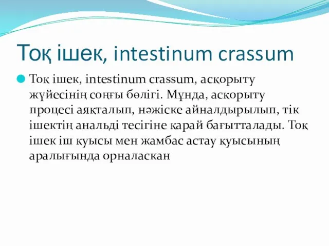 Тоқ ішек, intestinum crassum Тоқ ішек, intestinum crassum, асқорыту жүйесінің соңғы