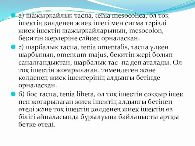 а) шажырқайлық таспа, tenia mesocolica, ол тоқ ішектің көлденең жиек ішегі