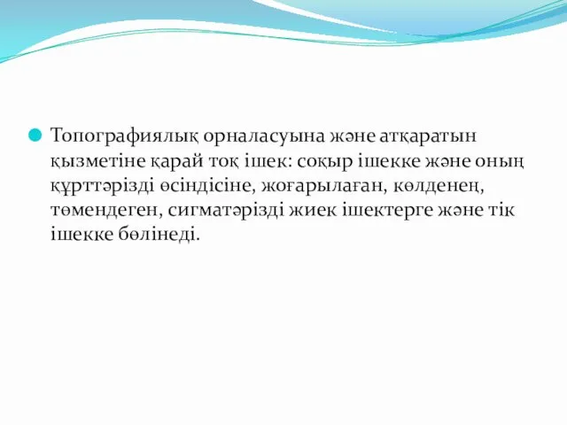 Топографиялық орналасуына және атқаратын қызметіне қарай тоқ ішек: соқыр ішекке және