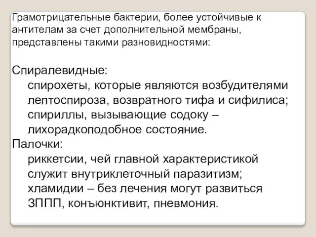 Грамотрицательные бактерии, более устойчивые к антителам за счет дополнительной мембраны, представлены