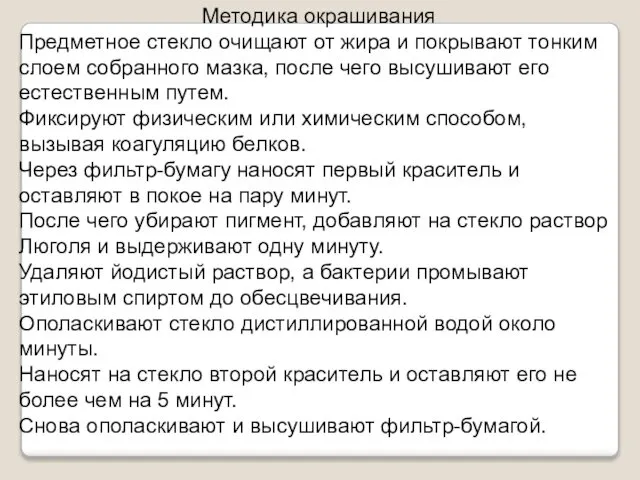 Методика окрашивания Предметное стекло очищают от жира и покрывают тонким слоем