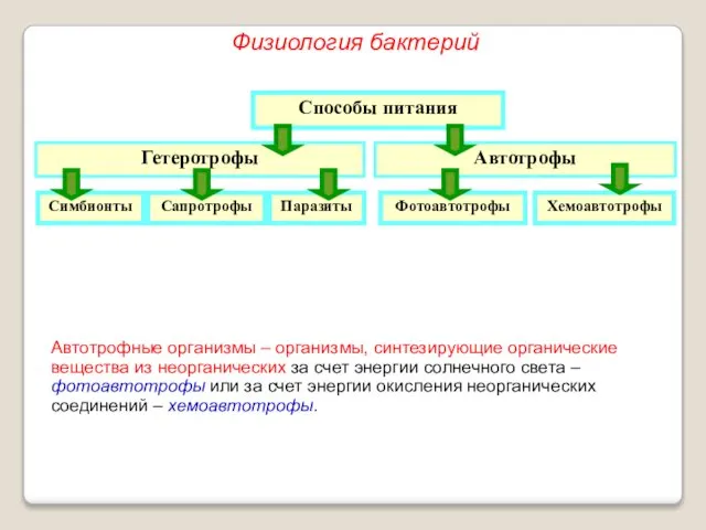 Способы питания Гетеротрофы Автотрофы Симбионты Сапротрофы Паразиты Фотоавтотрофы Хемоавтотрофы Автотрофные организмы