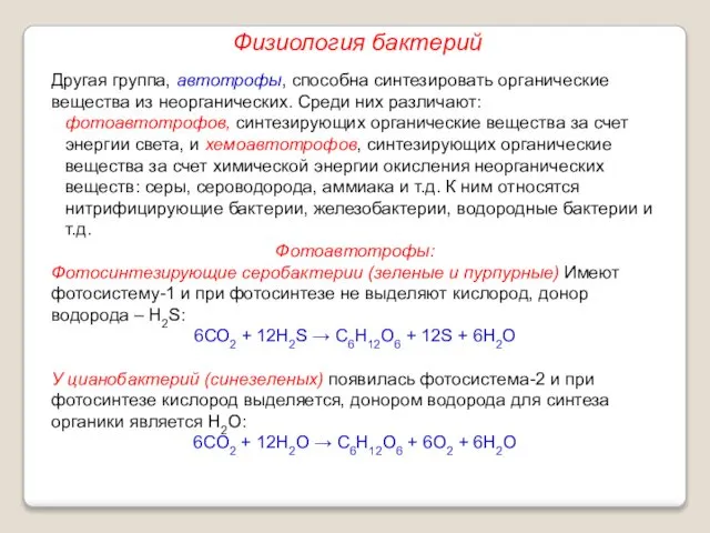 Другая группа, автотрофы, способна синтезировать органические вещества из неорганических. Среди них