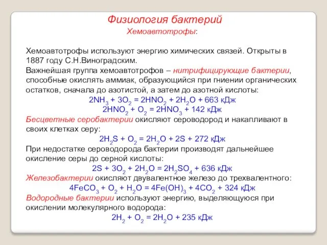 Хемоавтотрофы: Хемоавтотрофы используют энергию химических связей. Открыты в 1887 году С.Н.Виноградским.