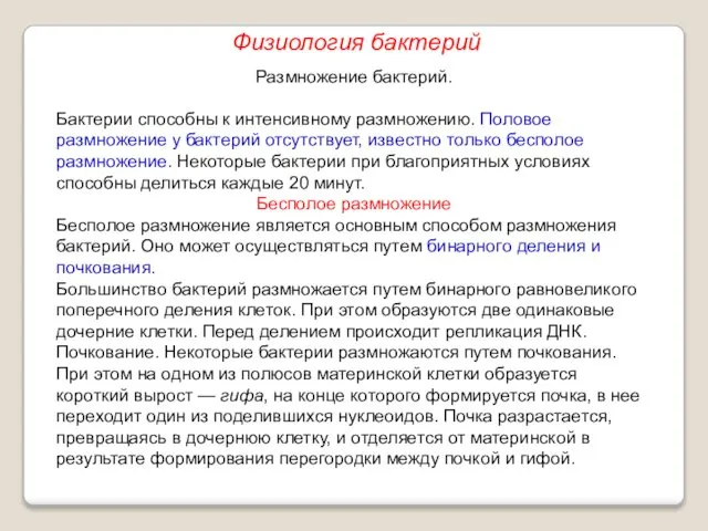 Размножение бактерий. Бактерии способны к интенсивному размножению. Половое размножение у бактерий