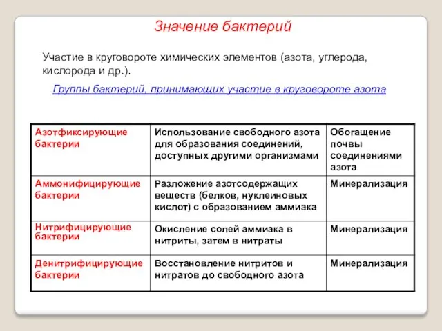 Участие в круговороте химических элементов (азота, углерода, кислорода и др.). Группы