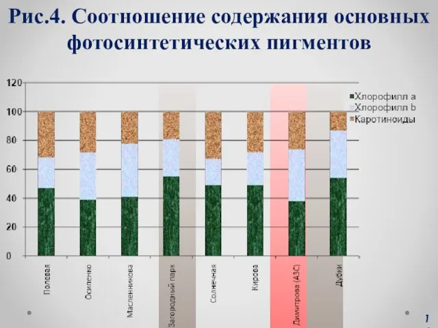 14 Рис.4. Соотношение содержания основных фотосинтетических пигментов