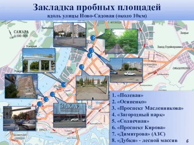 Закладка пробных площадей вдоль улицы Ново-Садовая (около 10км) 1 2 3