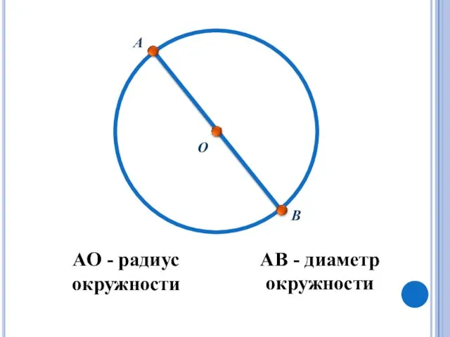 АО - радиус окружности О А АВ - диаметр окружности В