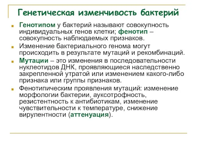 Генетическая изменчивость бактерий Генотипом у бактерий называют совокупность индивидуальных генов клетки;