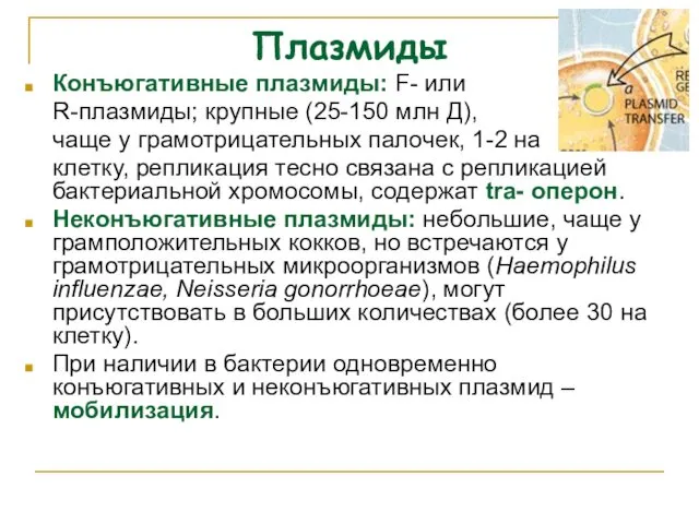 Плазмиды Конъюгативные плазмиды: F- или R-плазмиды; крупные (25-150 млн Д), чаще