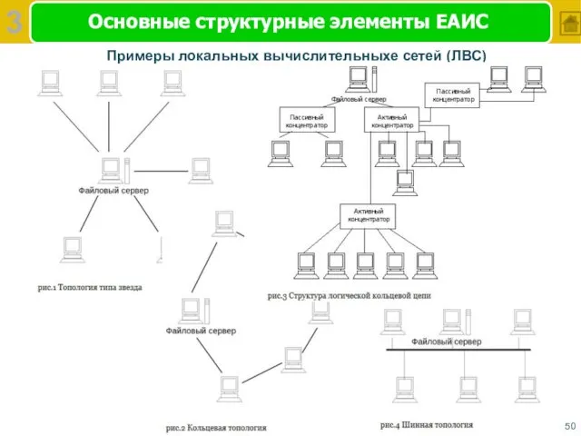 Основные структурные элементы ЕАИС 3 Примеры локальных вычислительныхе сетей (ЛВС)