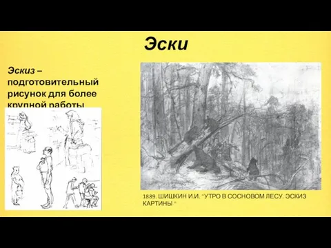 Эскиз Эскиз – подготовительный рисунок для более крупной работы. 1889. ШИШКИН