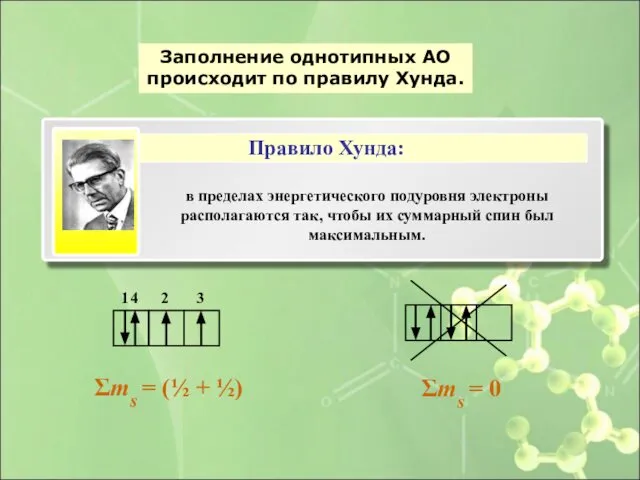 Заполнение однотипных АО происходит по правилу Хунда. Σms = (½ +