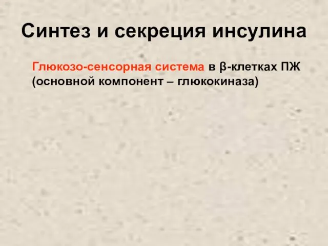 Синтез и секреция инсулина Глюкозо-сенсорная система в β-клетках ПЖ (основной компонент – глюкокиназа)