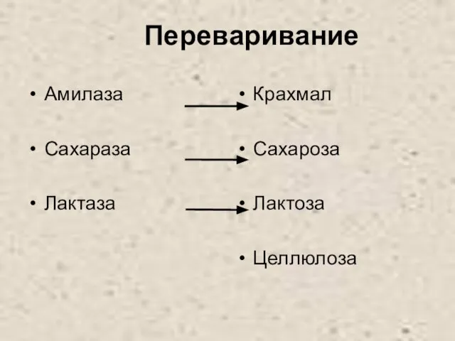 Переваривание Амилаза Сахараза Лактаза Крахмал Сахароза Лактоза Целлюлоза