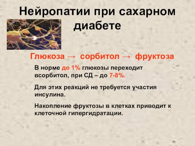 Нейропатии при сахарном диабете Глюкоза → сорбитол → фруктоза В норме