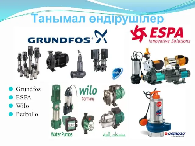 Танымал өндірушілер Grundfos ESPA Wilo Pedrollo