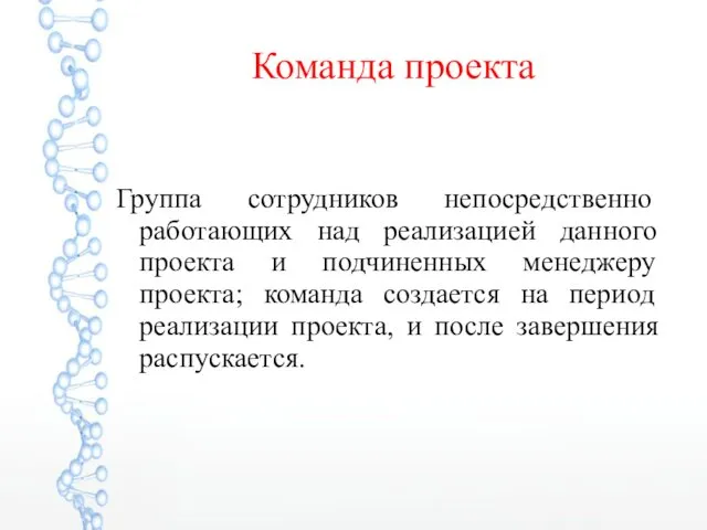 Команда проекта Группа сотрудников непосредственно работающих над реализацией данного проекта и