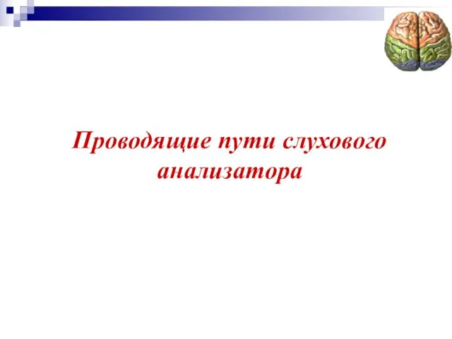 Проводящие пути слухового анализатора