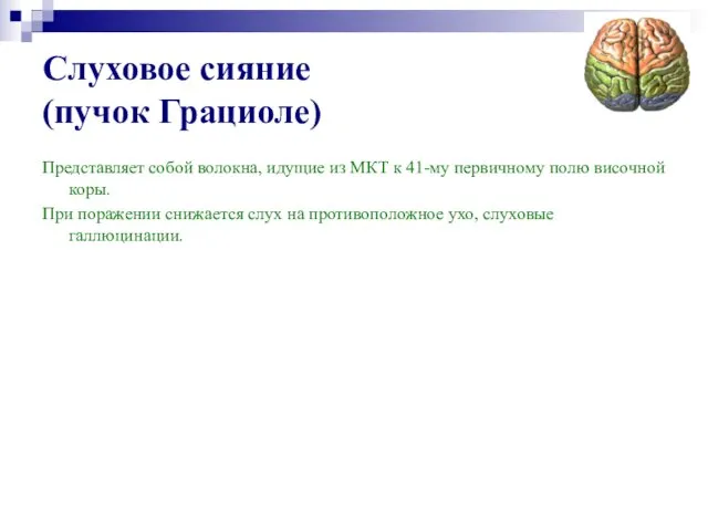 Слуховое сияние (пучок Грациоле) Представляет собой волокна, идущие из МКТ к