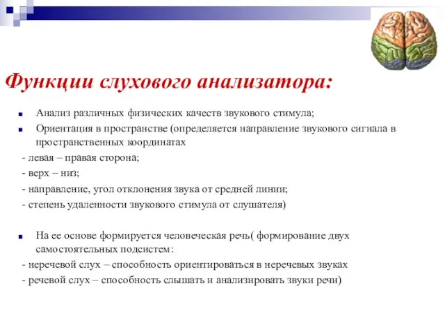 Функции слухового анализатора: Анализ различных физических качеств звукового стимула; Ориентация в