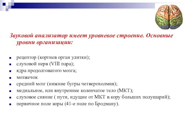 Звуковой анализатор имеет уровневое строение. Основные уровни организации: рецептор (кортиев орган