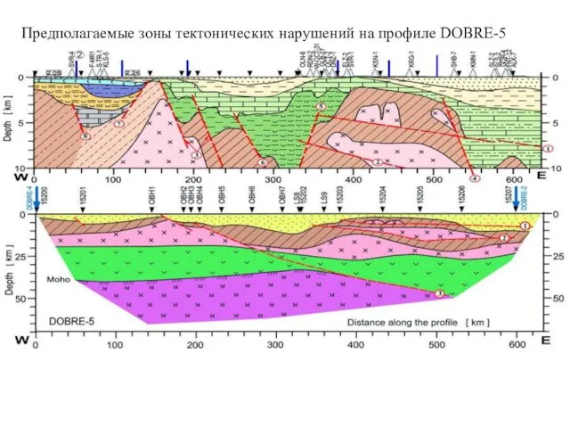 Предполагаемые зоны тектонических нарушений на профиле DOBRE-5