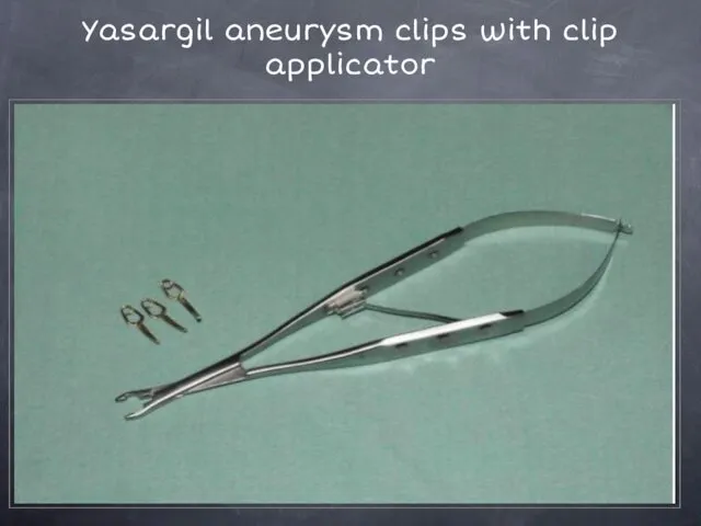 Yasargil aneurysm clips with clip applicator