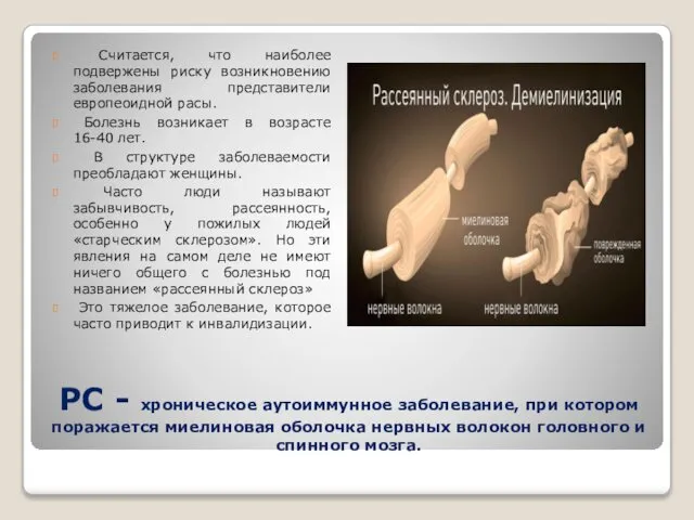 РС - хроническое аутоиммунное заболевание, при котором поражается миелиновая оболочка нервных