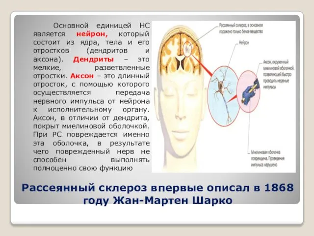 Рассеянный склероз впервые описал в 1868 году Жан-Мартен Шарко Основной единицей