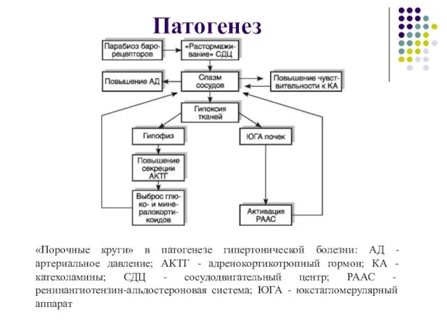 Патогенез «Порочные круги» в патогенезе гипертонической болезни: АД - артериальное давление;