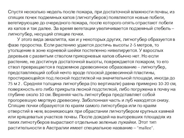 Спустя несколько недель после пожара, при достаточной влажности почвы, из спящих