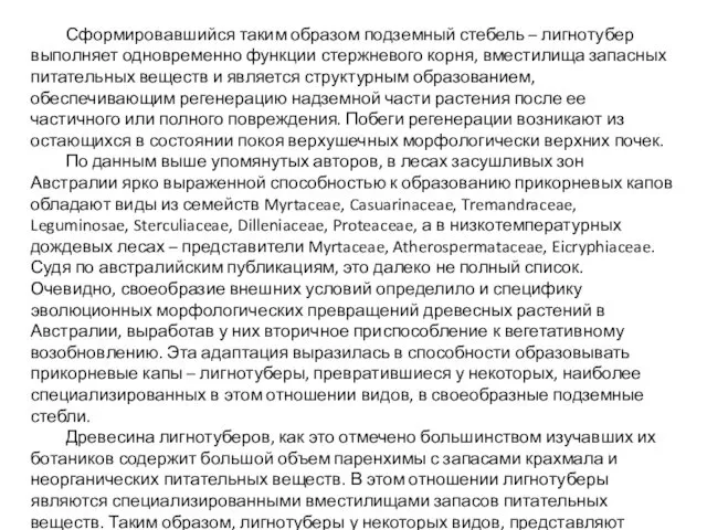 Сформировавшийся таким образом подземный стебель – лигнотубер выполняет одновременно функции стержневого