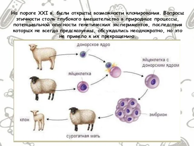 На пороге XXI в. были открыты возможности клонирования. Вопросы этичности столь