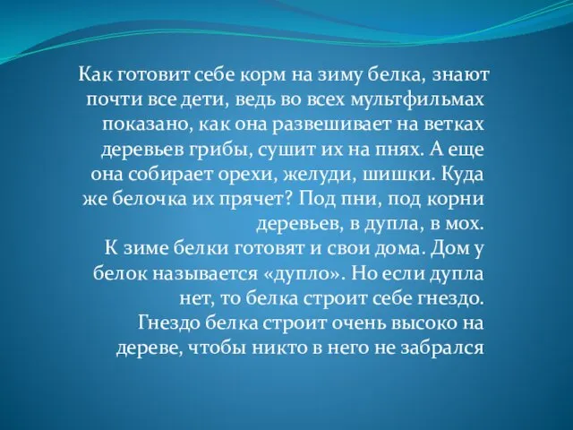 Как готовит себе корм на зиму белка, знают почти все дети,