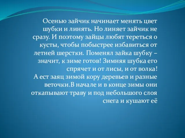 Осенью зайчик начинает менять цвет шубки и линять. Но линяет зайчик