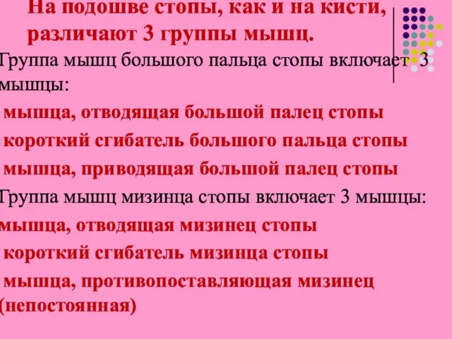 На подошве стопы, как и на кисти, различают 3 группы мышц.