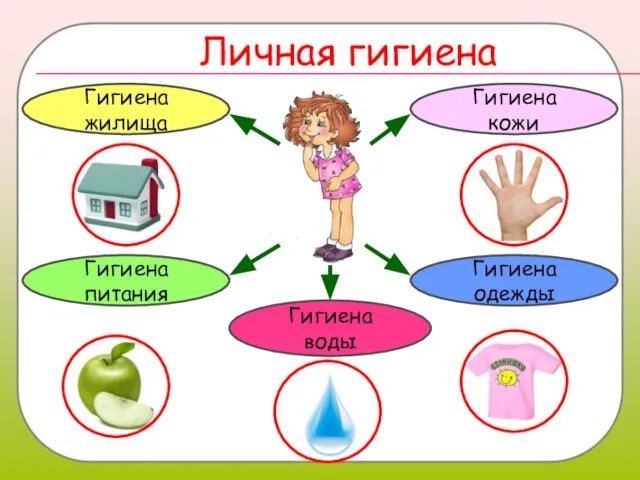 Личная гигиена Гигиена кожи Гигиена питания Гигиена одежды Гигиена воды Гигиена жилища