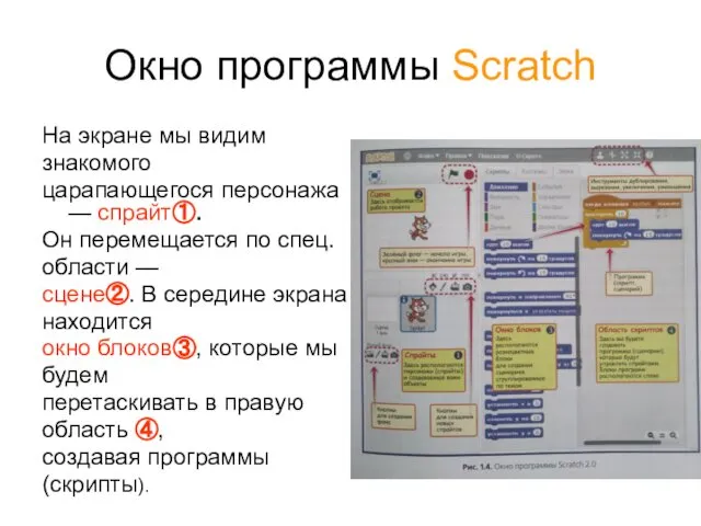 Окно программы Scratch На экране мы видим знакомого царапающегося персонажа —