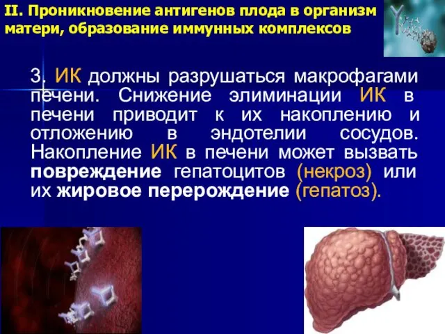 II. Проникновение антигенов плода в организм матери, образование иммунных комплексов 3.