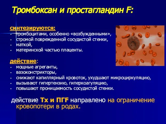 Тромбоксан и простагландин F: синтезируются: тромбоцитами, особенно «возбужденными», стромой поврежденной сосудистой