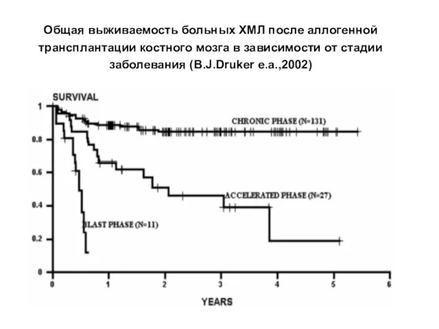 Общая выживаемость больных ХМЛ после аллогенной трансплантации костного мозга в зависимости от стадии заболевания (B.J.Druker e.a.,2002)
