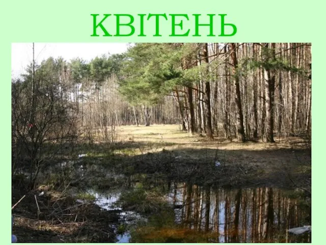 КВІТЕНЬ