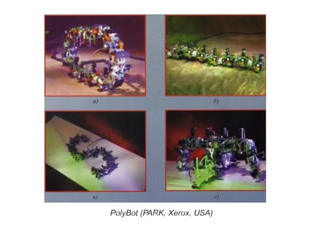 PolyBot (PARK, Xerox, USA)